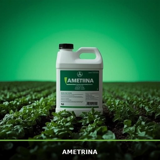 Ametrina